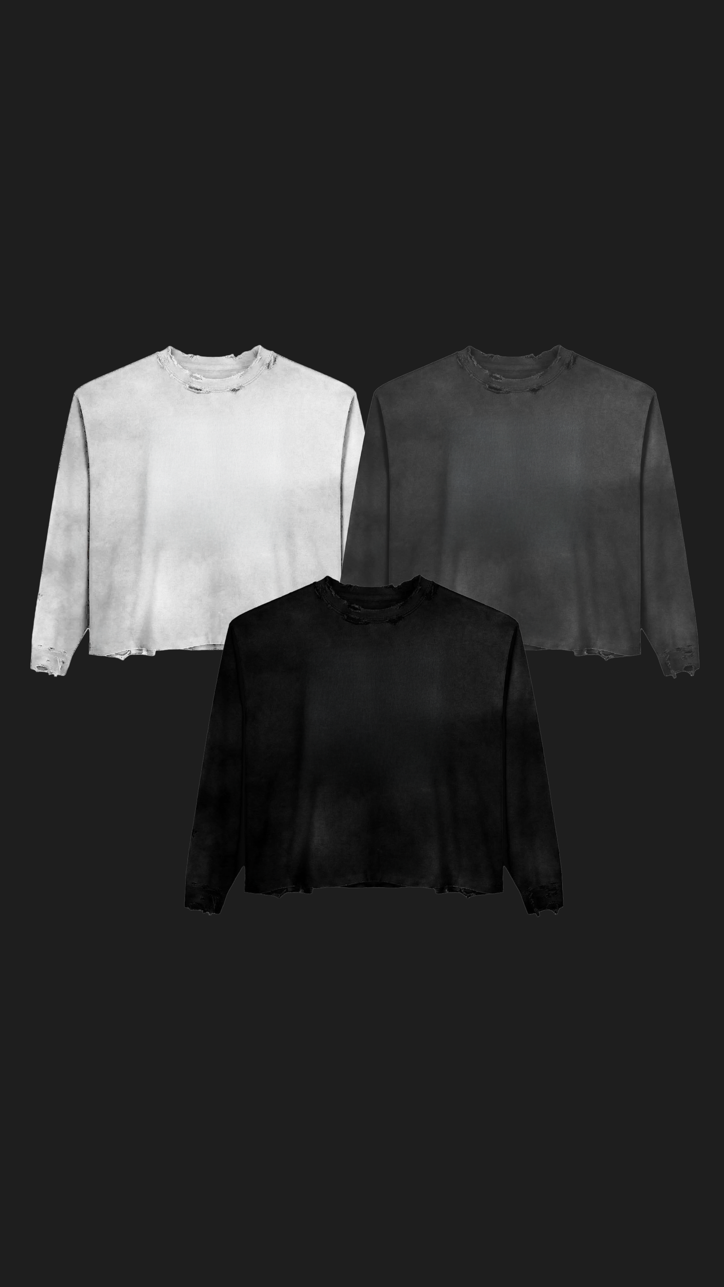 BUNDLE PERFECT WASHED LONGSLEEVE